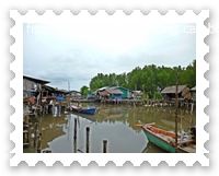 หมู่บ้านชาวประมงปลูกหลังป่าโกงกาง