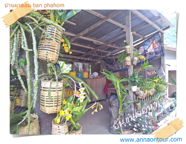 ร้านอาหารเล็ก ๆ ในบ้านผาฮอม