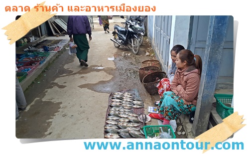 ร้านขายปลาในตลาดเช้าเมืองยอง