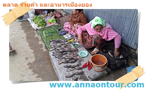 ตลาดสดเมืองยอง