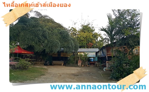 ไทลื้อเกสท์เฮ้าส์เมืองยอง