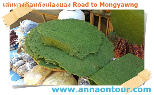 สาหร่ายน้ำริมทางไปเมืองยอง