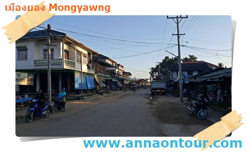 บ้านเรือนที่ปลูกติดถนนเส้นหลักในเมืองยอง