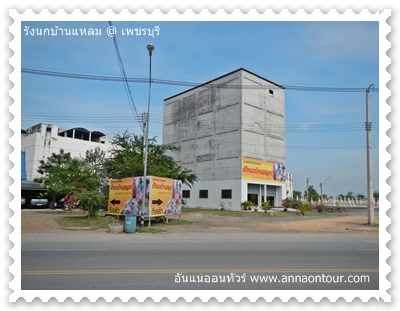 บ้านรังนกนางแอ่น ที่บ้านแหลม