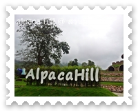 alpaca Hill